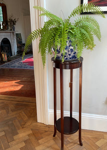 Antique mahogany plant stand
