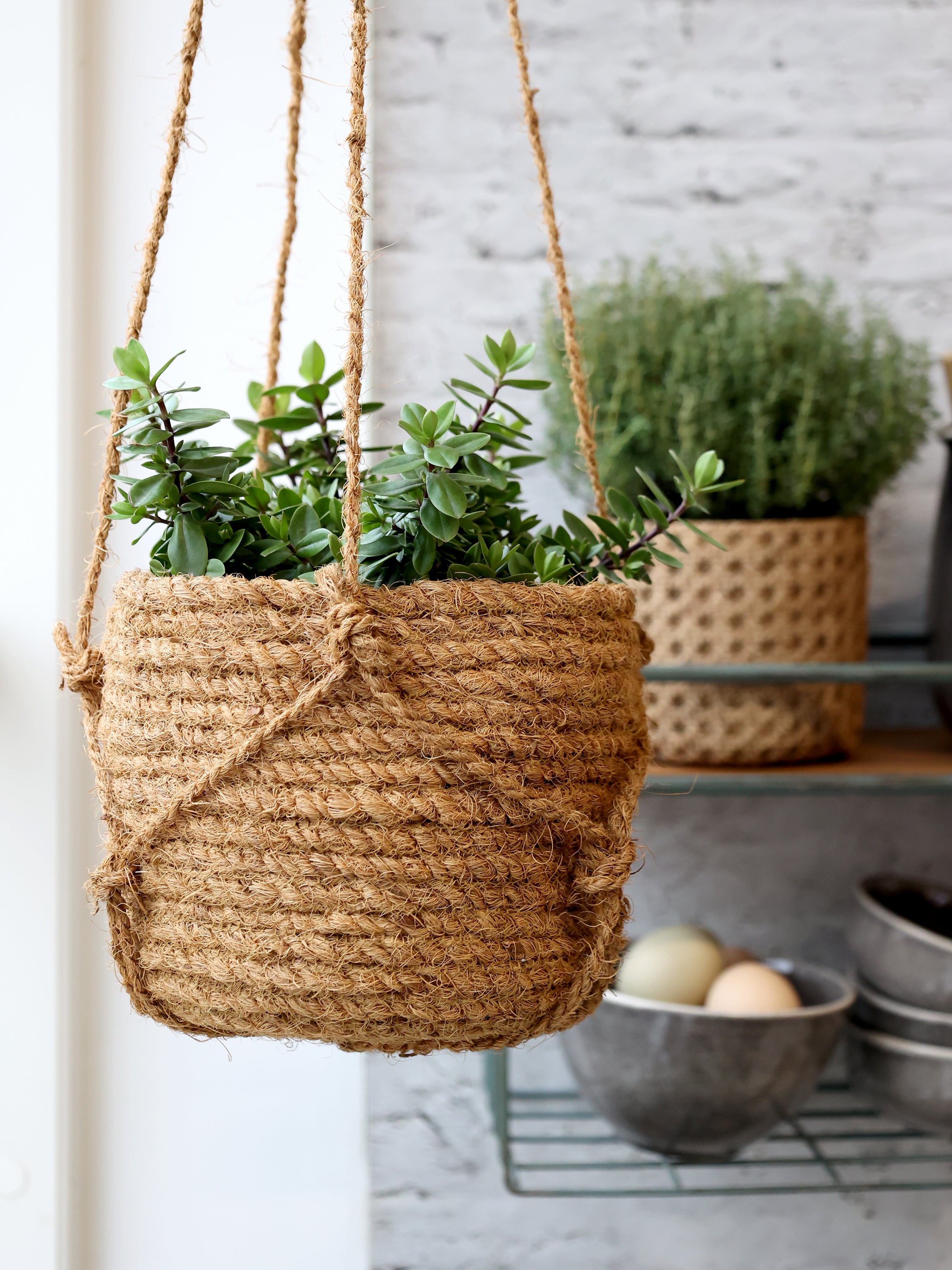 Natural hanging planter/basket