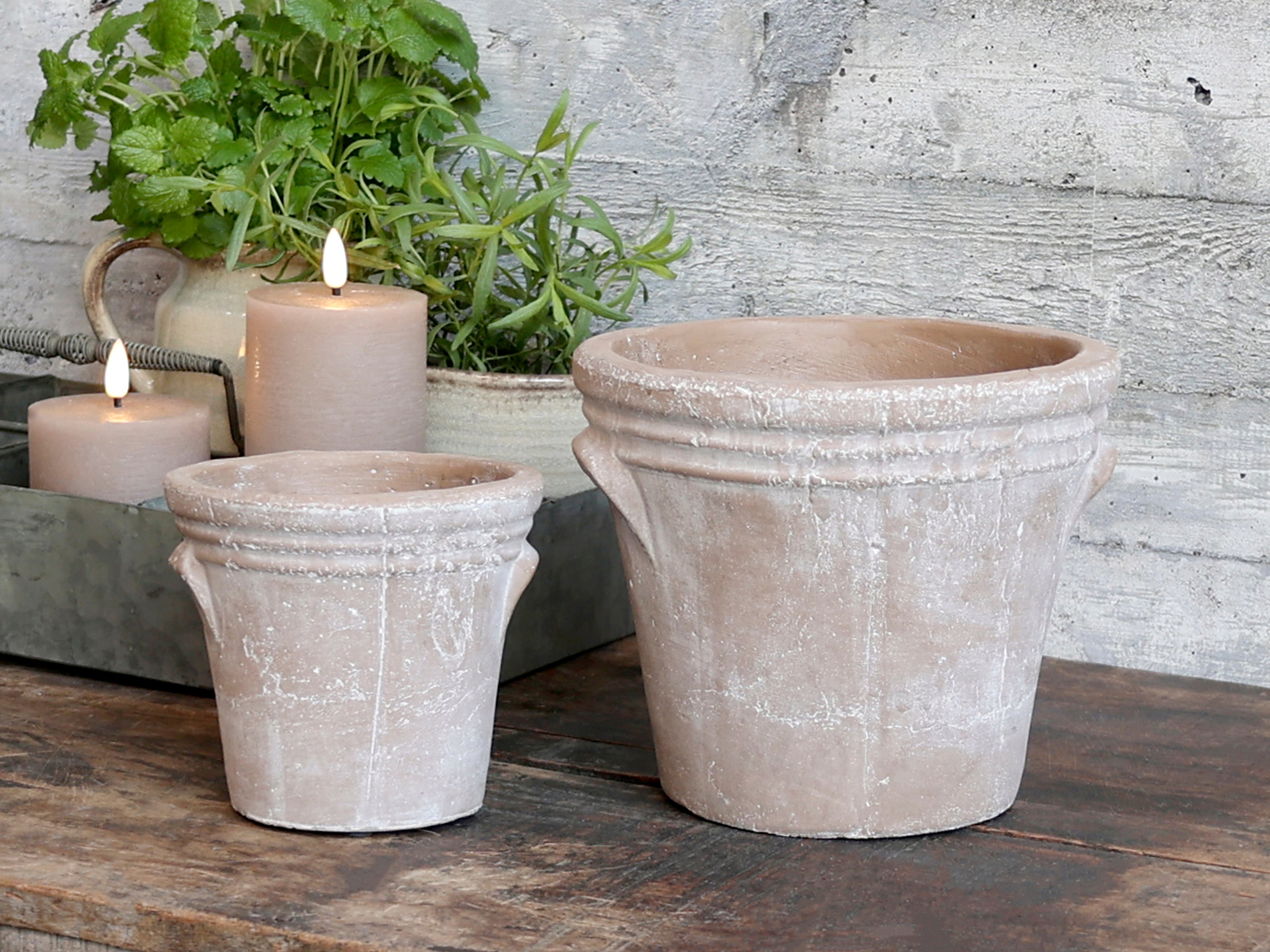 Terracotta pot