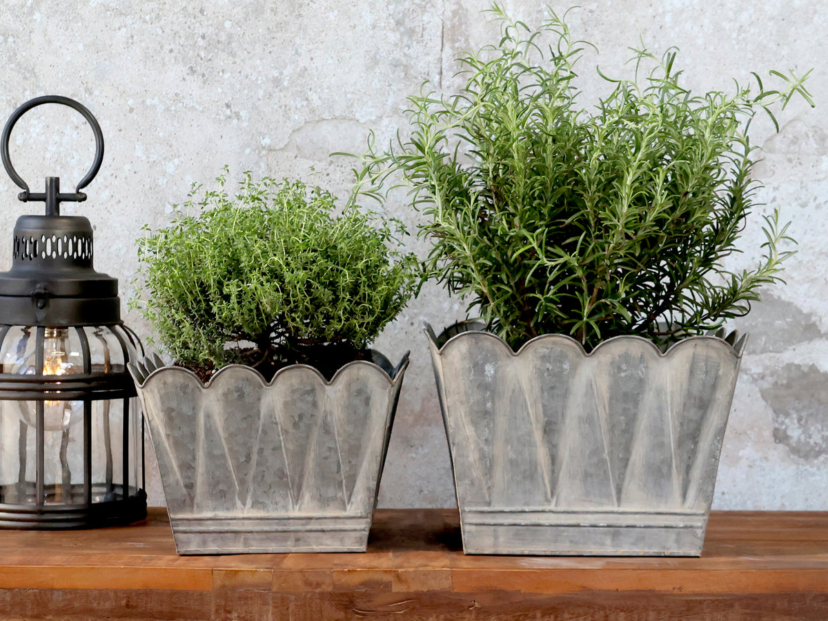 Zinc planter with arches