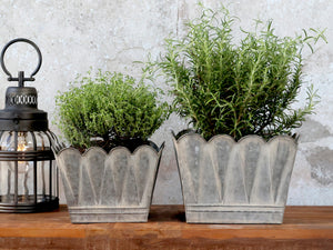 Zinc planter with arches