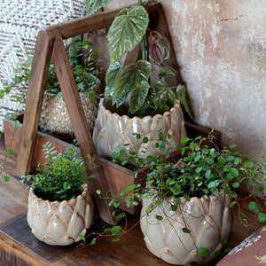 Gaston planter