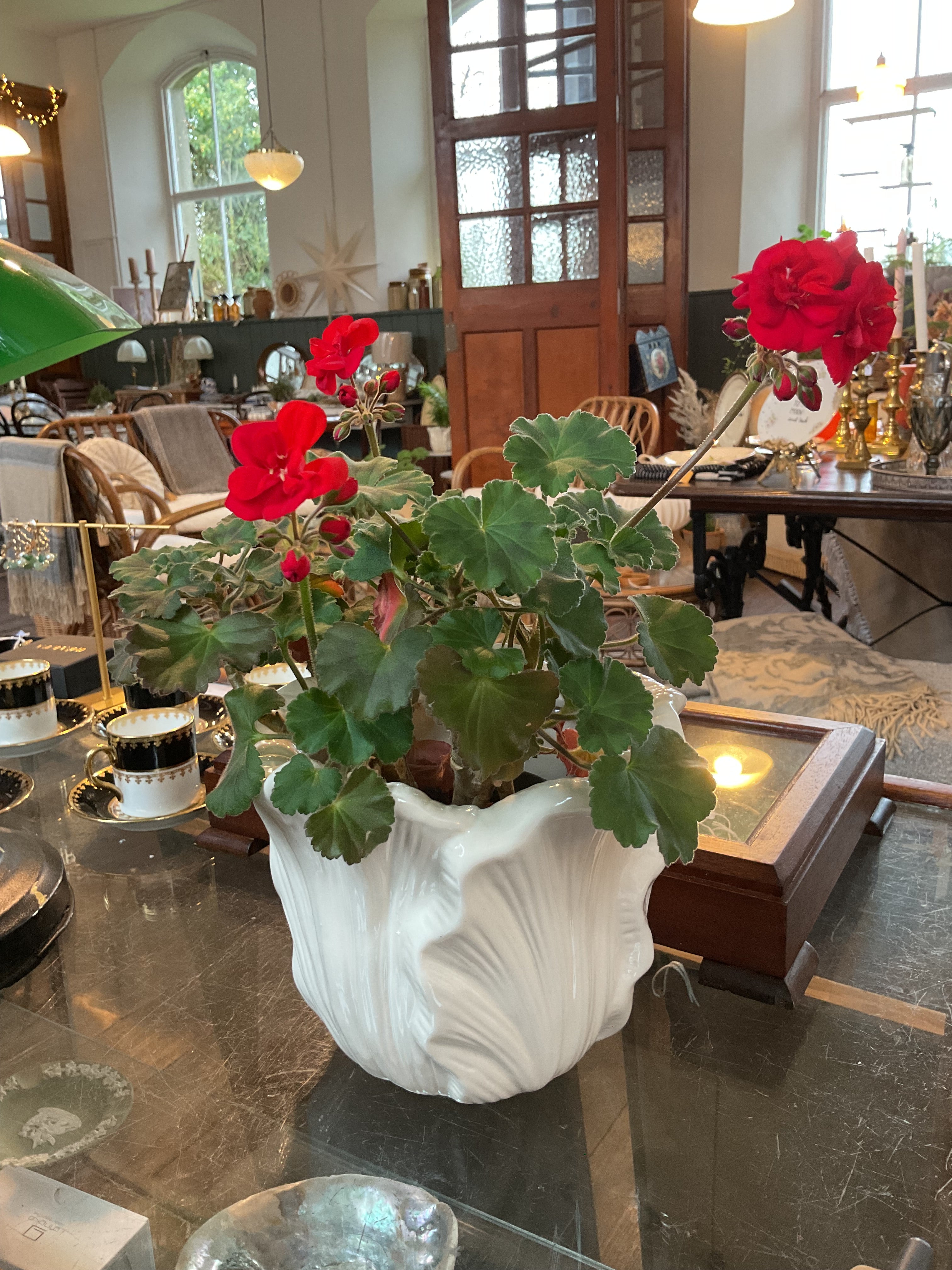 Fayence planter