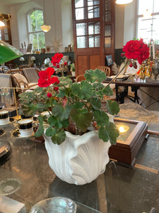 Fayence planter