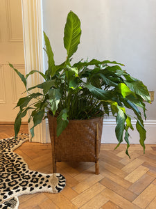 Bamboo Woven Planter