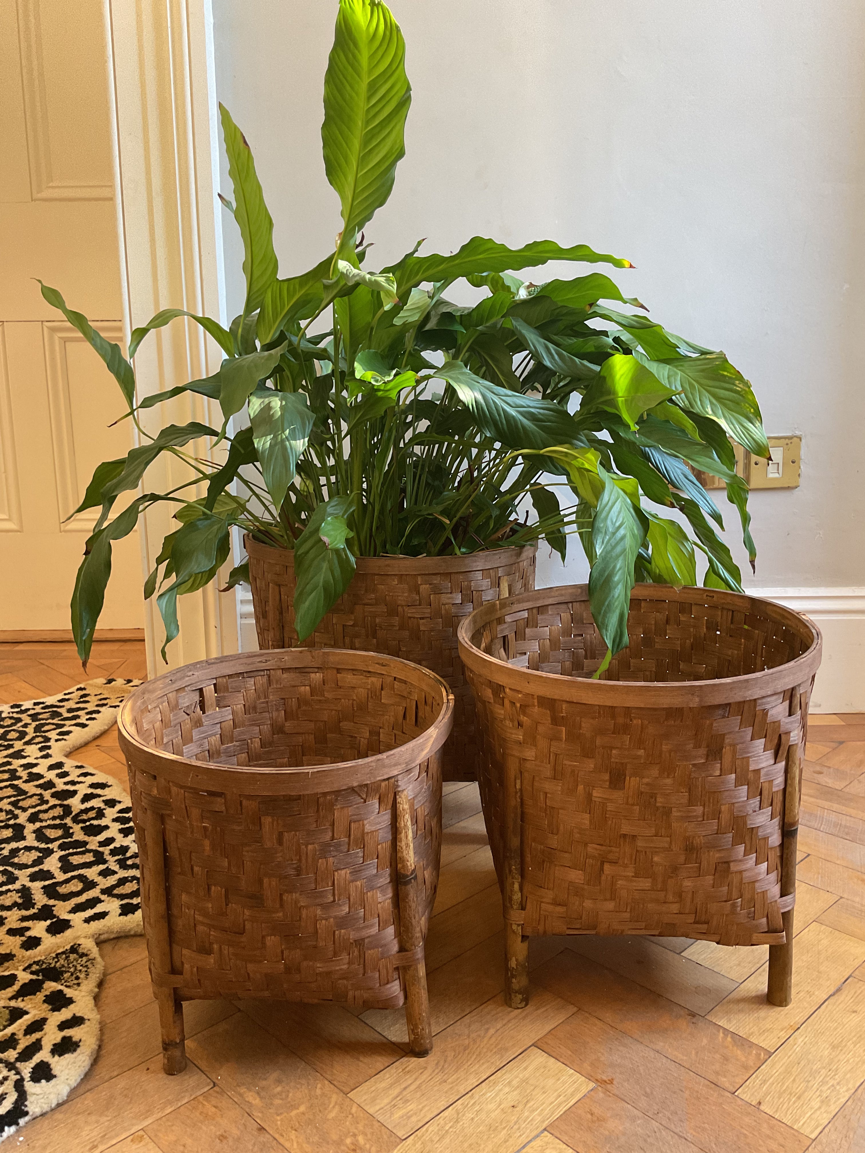 Bamboo Woven Planter