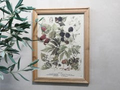 Framed picture with botanical berries motif