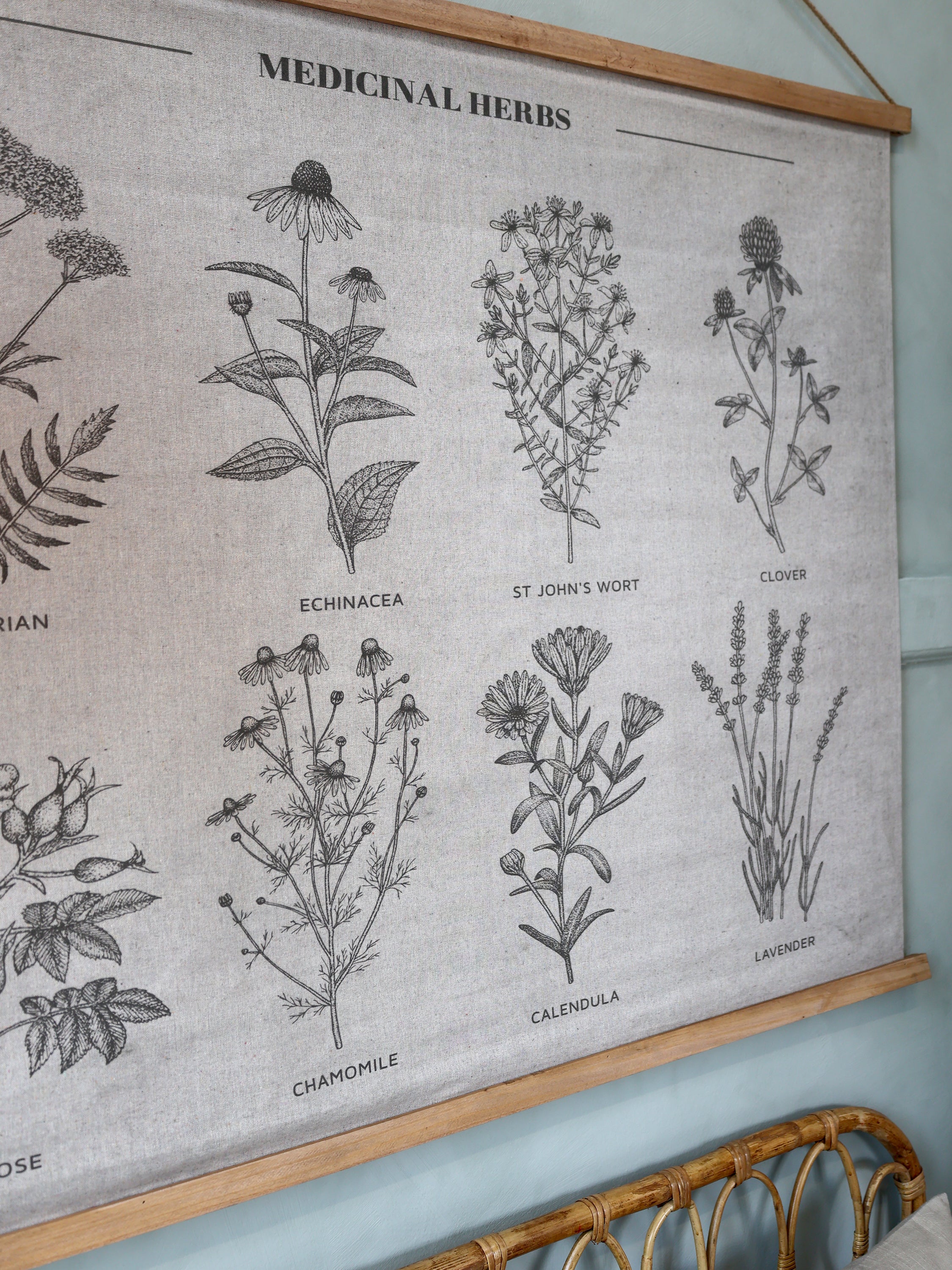 Canvas wall hanging featuring medicinal herbs