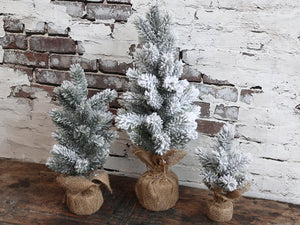Snow-covered festive tree - medium