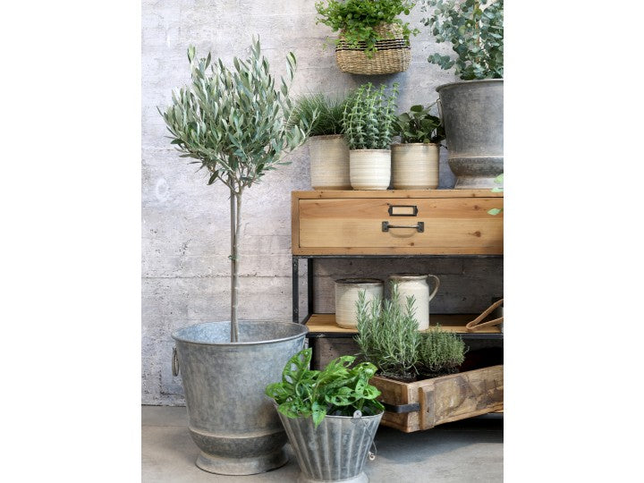 Antique zinc plant pot with round handles - medium