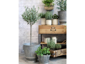 Antique zinc plant pot with round handles - medium