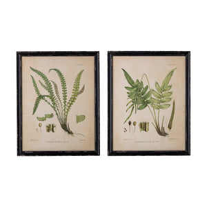 Fern print in black firwood frame