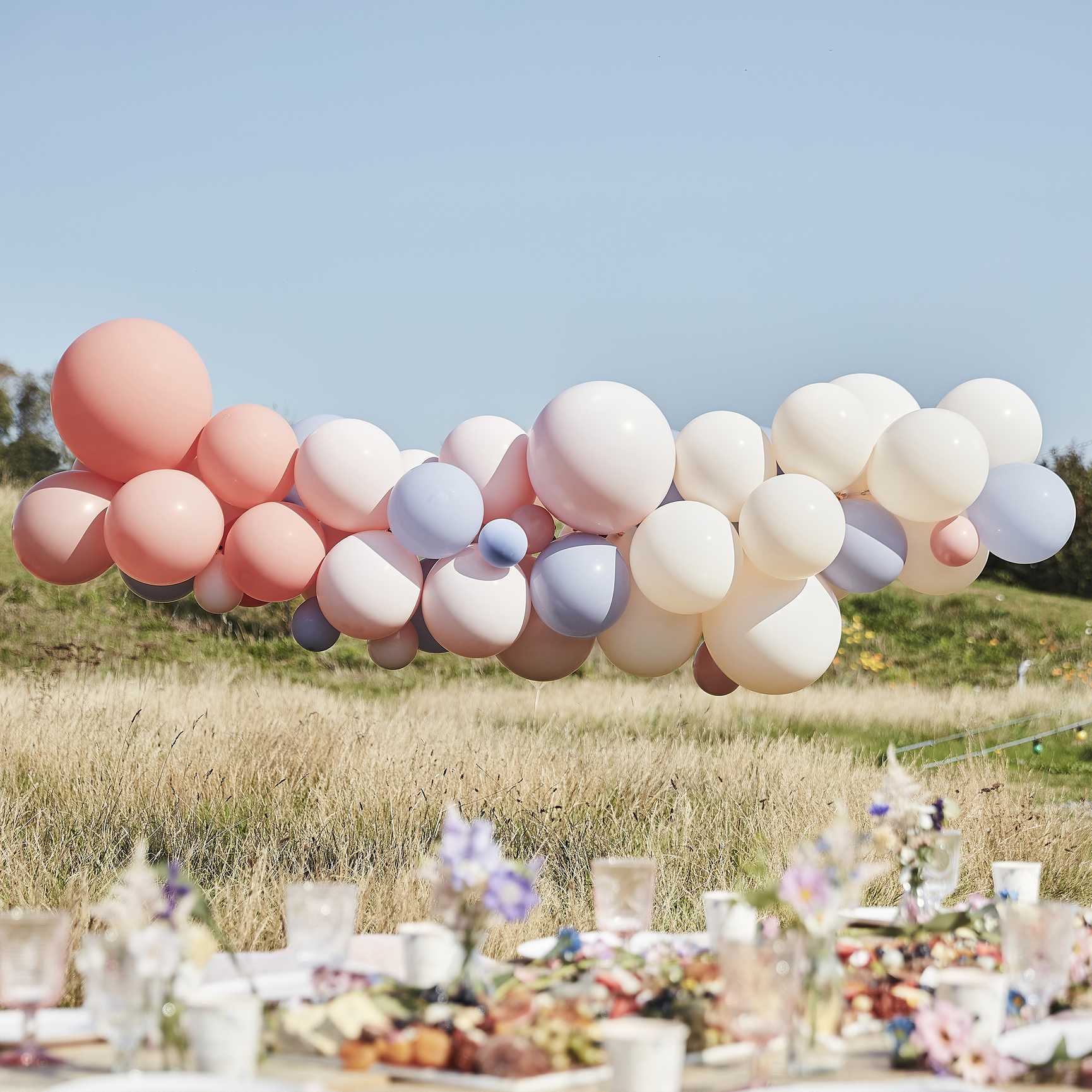 Nude, blush and blue biodegradable Balloon Arch kit - 60 balloons