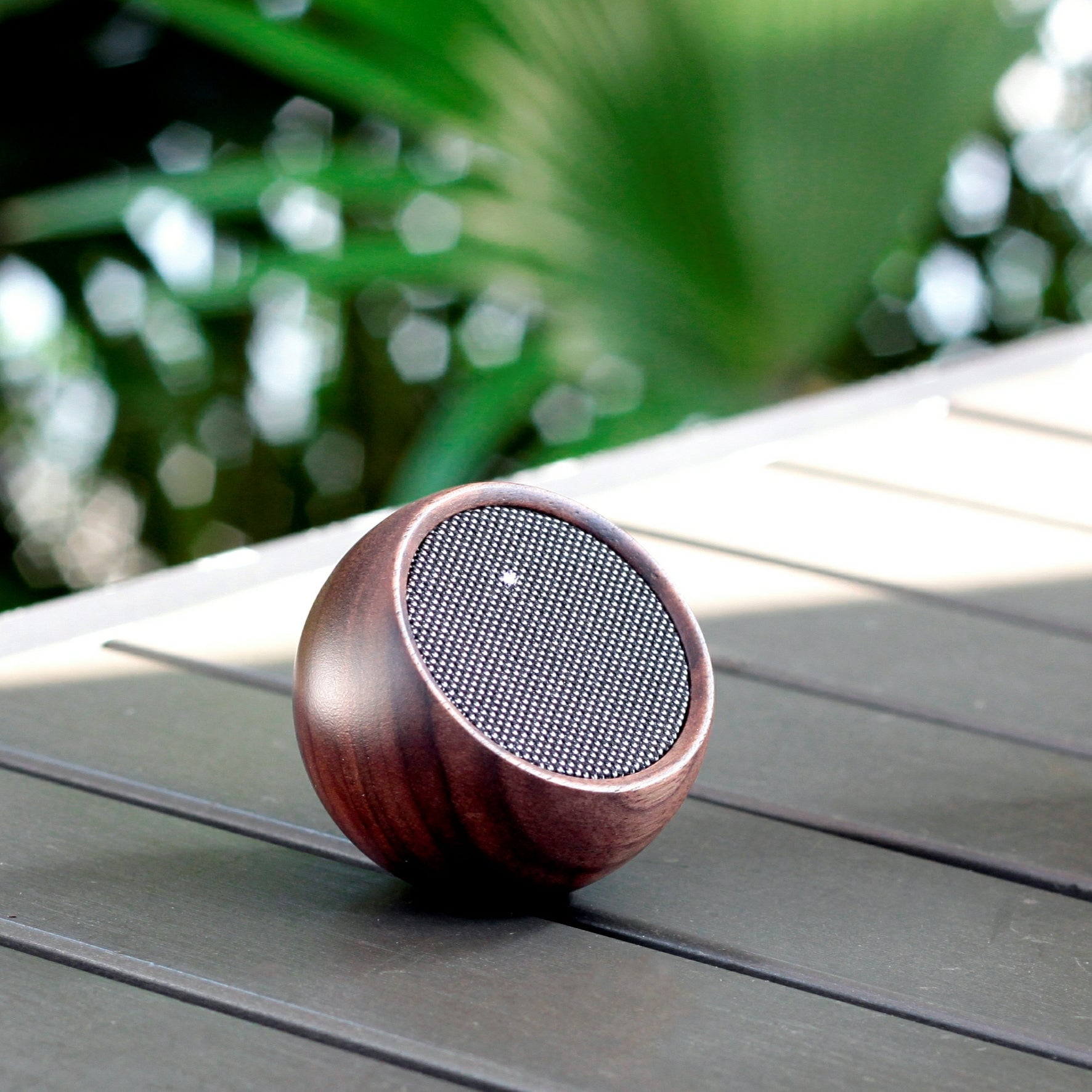 Tumbler Selfie Speaker in walnut