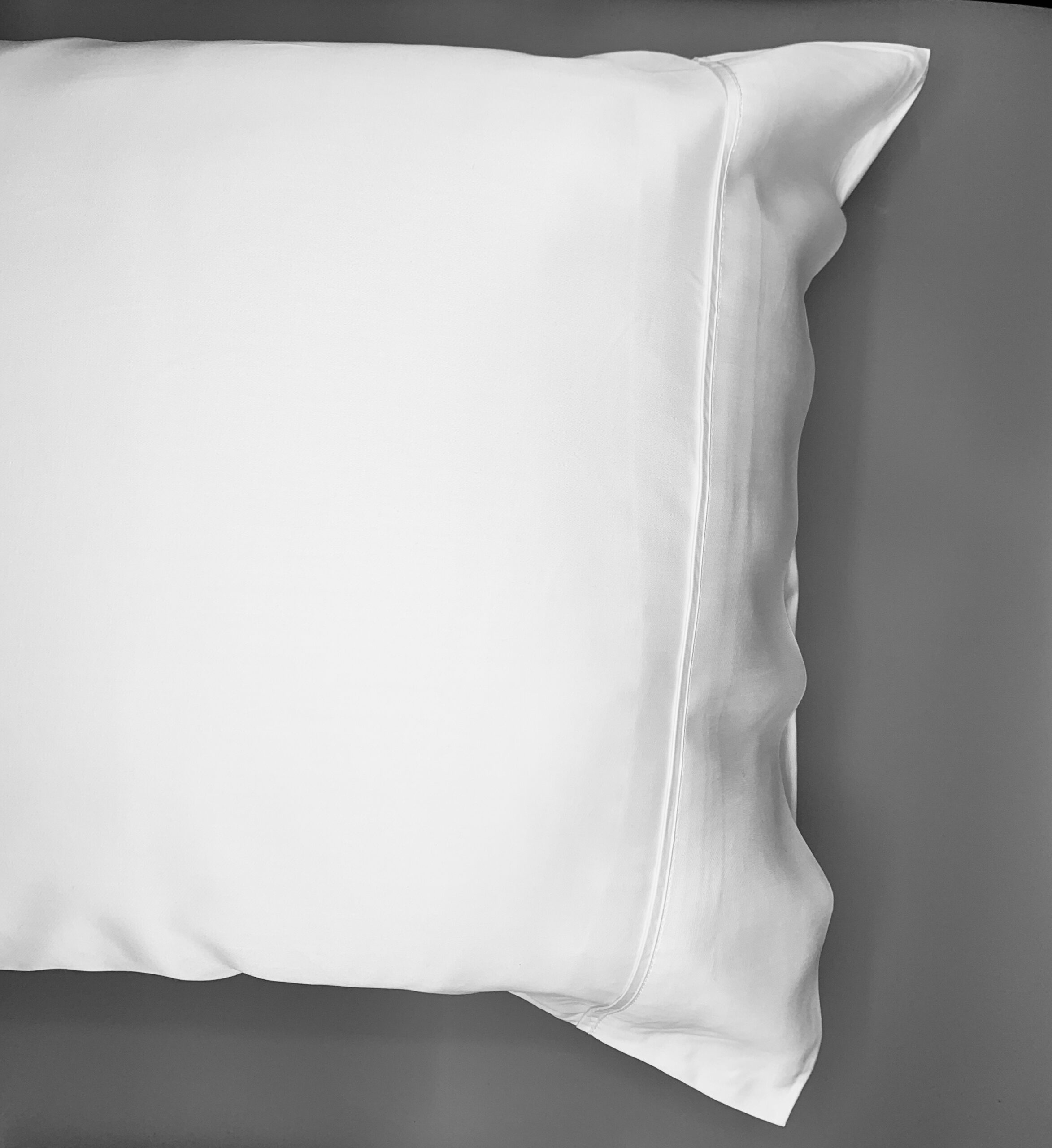 Organic Bamboo Pillow Case set (two) - White