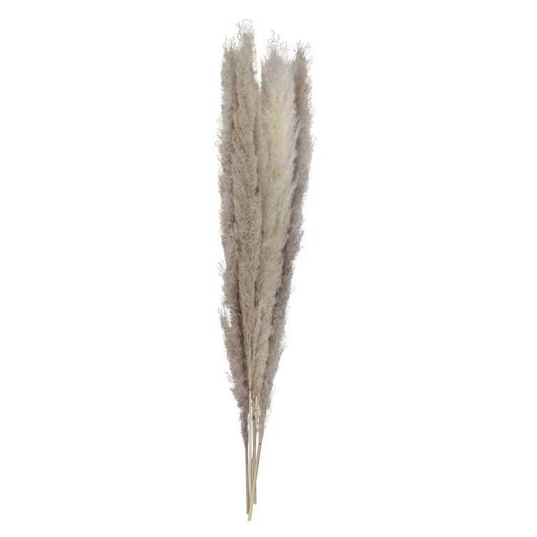 Natural pampas grass decoration