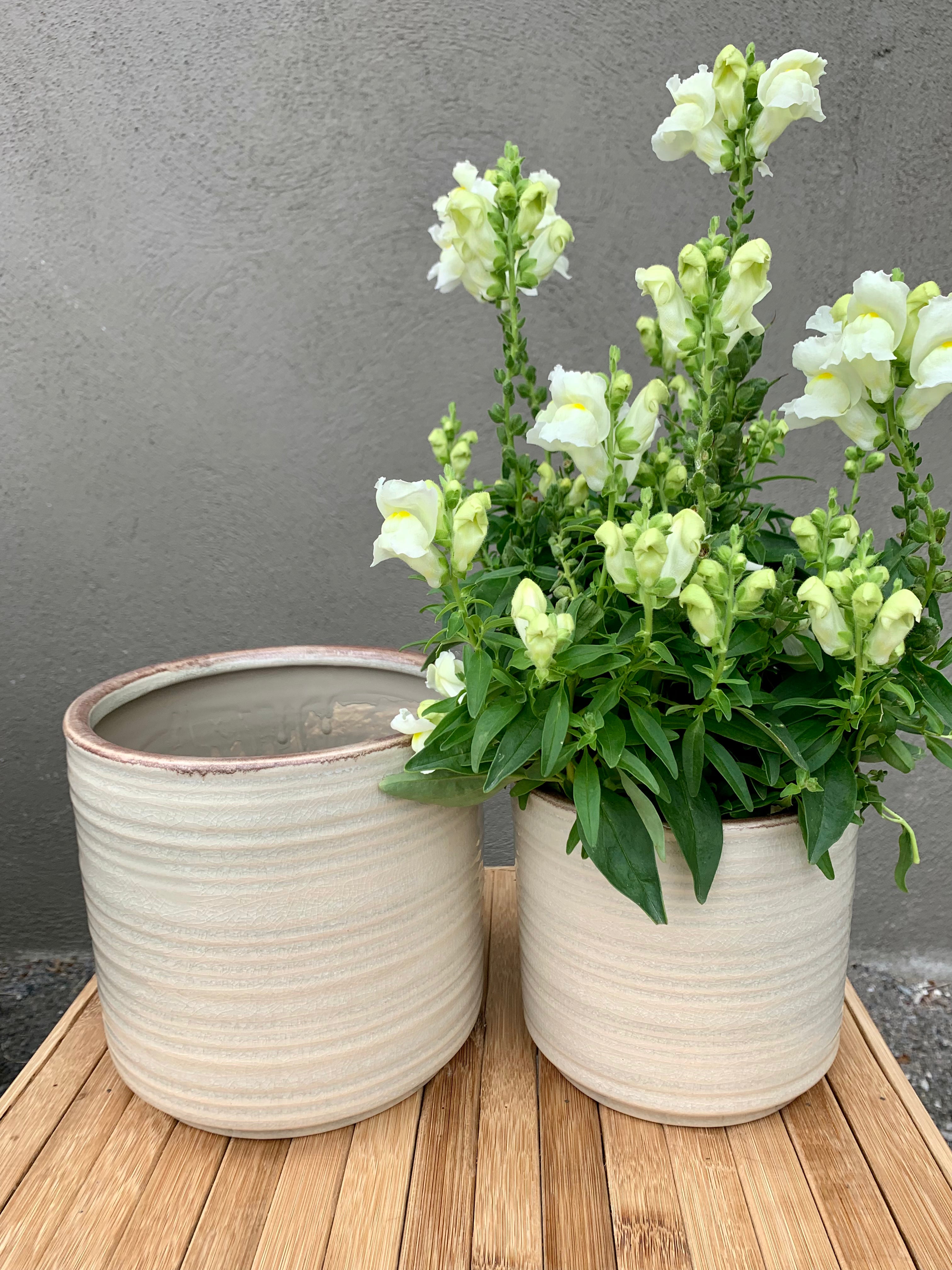 Glazed pot in antique latté - small